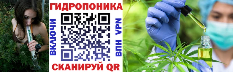 Шишки марихуана планчик  Купить где  Сосновоборск 